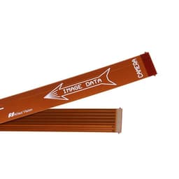 12316Allied Vision, Inc.