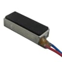 Jinlong Machinery & Electronics, Inc. LVM061530B