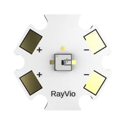 RVXE-280-SB-071004RayVio Corporation
