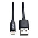 Tripp Lite M100-010-BK