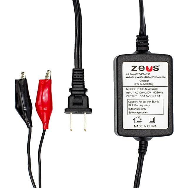 ZEUS Battery Products PCCG-SLA6V300