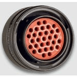 MS24266R24B30P8RMS Connectors